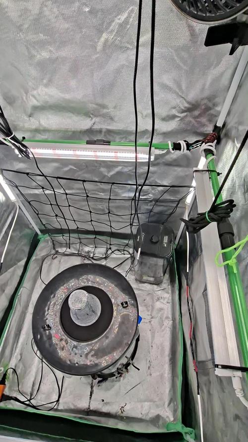 DWC 80x80