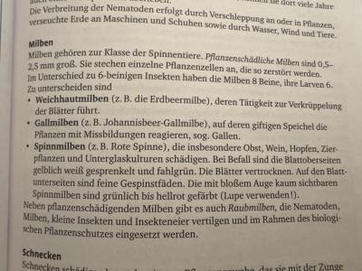 Comment by Salokin photo #3