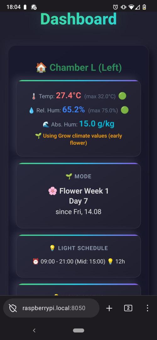 Clone Run. Week 4