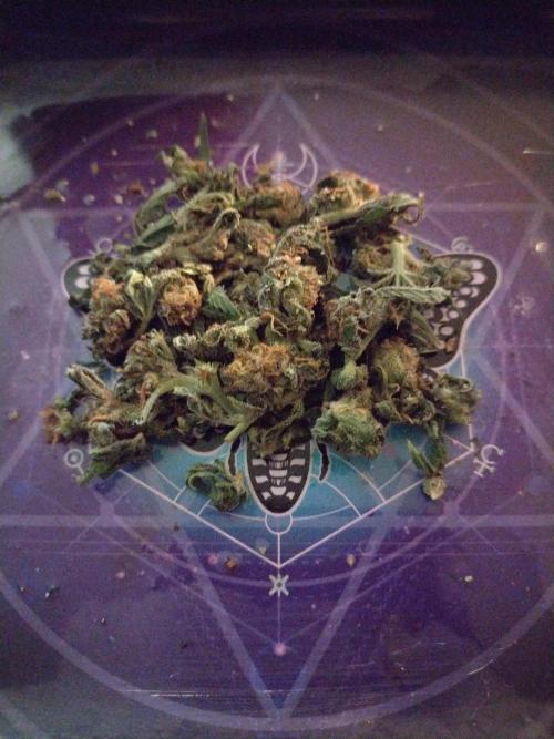 Critical Killer. Week 16 - Cured