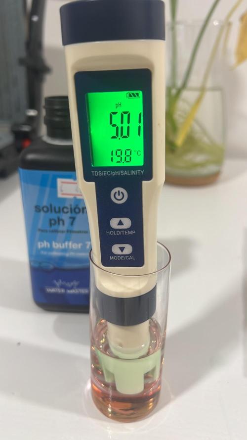 Sweet Auto. Week 2 - Ph Del chino 👎🏻