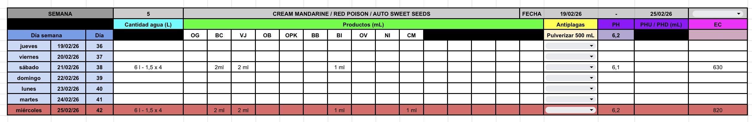 Sweet Auto. Week 5