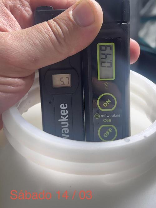 Sweet Auto. Week 8
