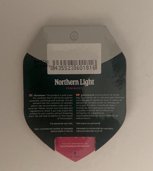 Luz del Norte. Week 0