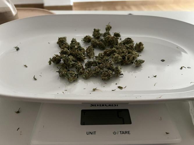 Sweet Auto. Week 11
