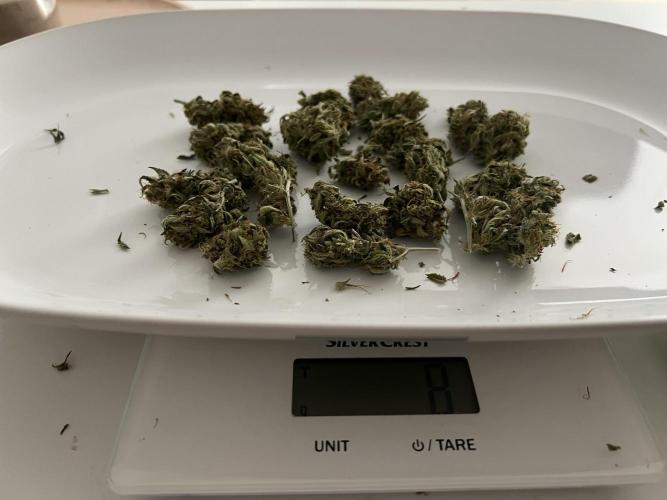 Sweet Auto. Week 11
