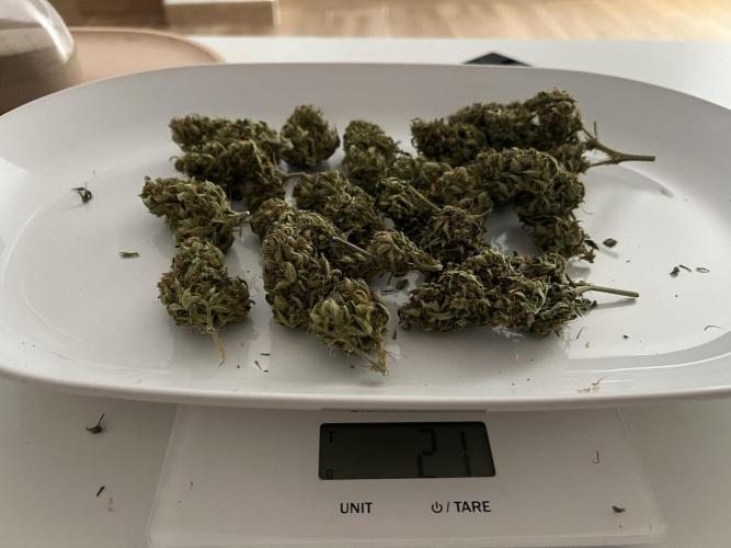 Sweet Auto. Week 11
