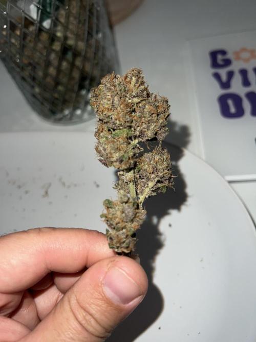 Sweet Auto. Week 11
