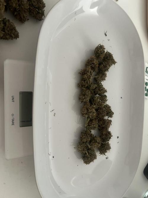 Sweet Auto. Week 11