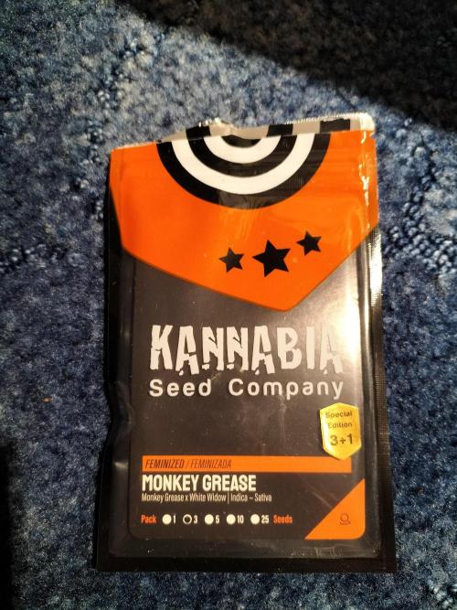 Monkey Grease. Week 0