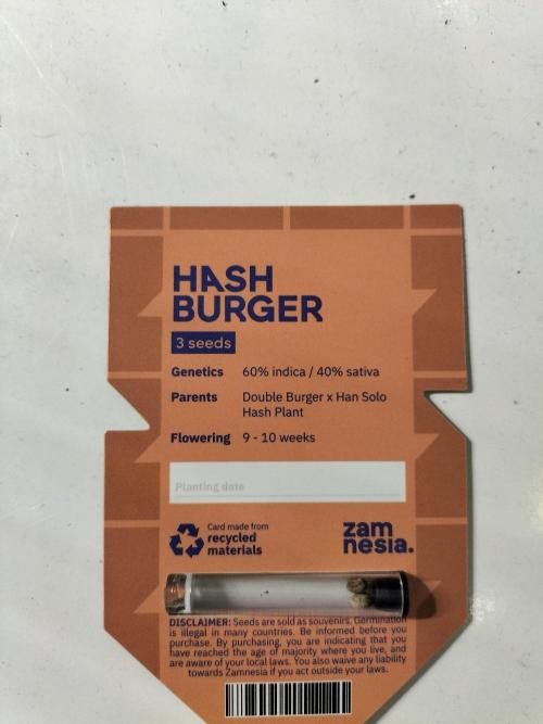 Hash Burger. Week 0