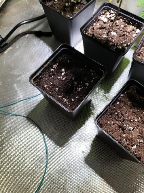 Solar Panel. Week 0