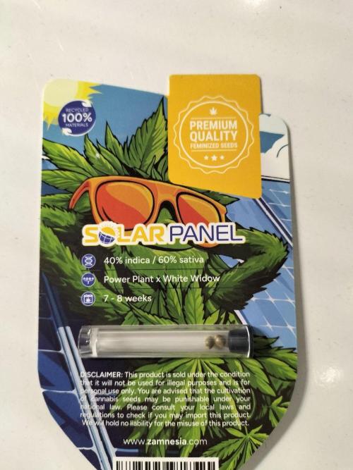 Solar Panel. Week 0