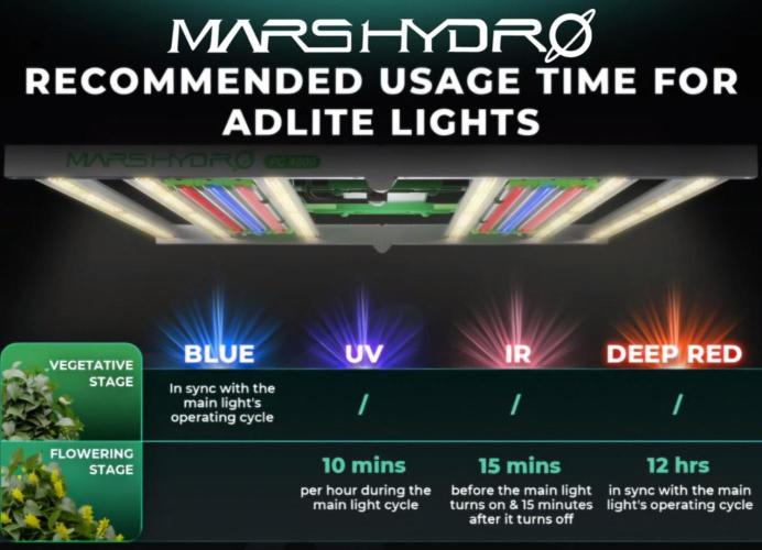 F1 Series by Seedman. Week 5