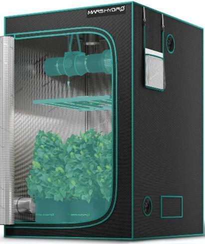 F1 Series by Seedman. Week 6