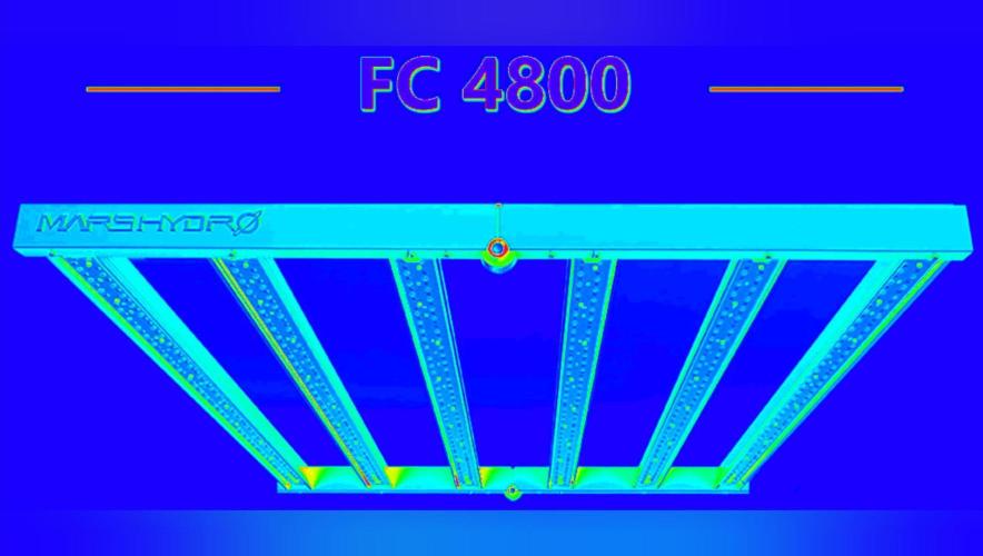 F1 Series by Seedman. Week 7