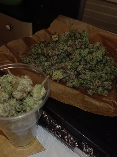 COCO ETHOS. Week 15 - End Game TPL 65F