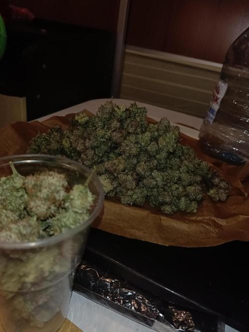 COCO ETHOS. Week 15 - End Game TPL 65F