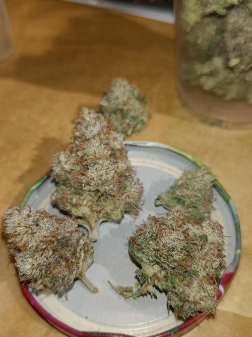 COCO ETHOS. Week 15 - End Game TPL 65F