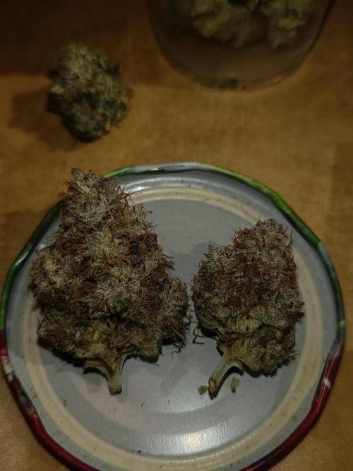 COCO ETHOS. Week 15 - End Game TPL 65F