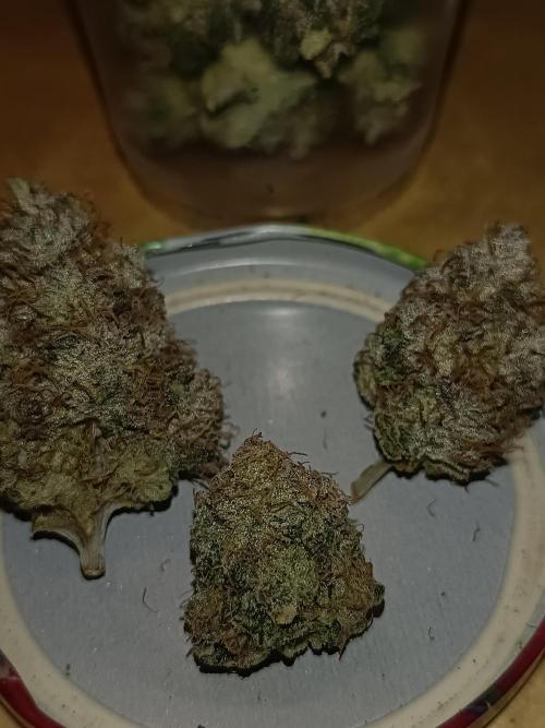 COCO ETHOS. Week 15 - End Game TPL 65F