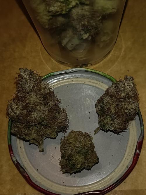 COCO ETHOS. Week 15 - End Game TPL 65F