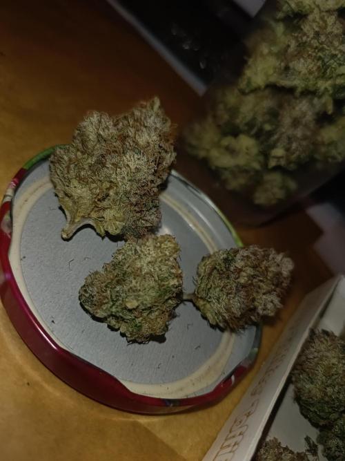 COCO ETHOS. Week 15 - End Game TPL 65F