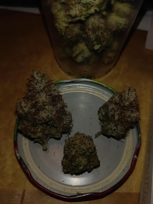 COCO ETHOS. Week 15 - End Game TPL 65F