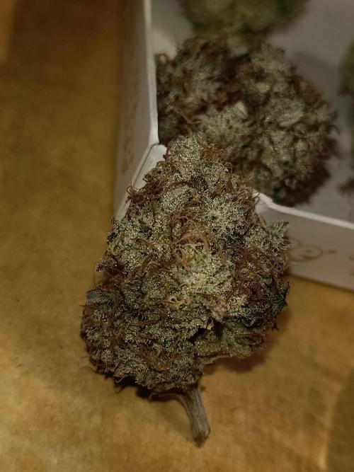 COCO ETHOS. Week 15 - End Game TPL 65F