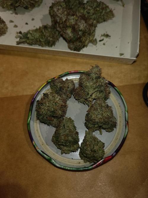 COCO ETHOS. Week 15 - End Game TPL 65F