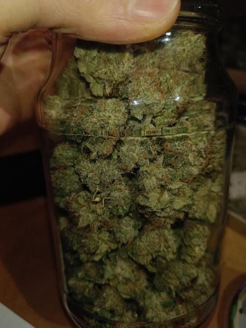 COCO ETHOS. Week 15 - End Game TPL 65F