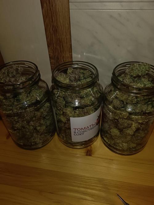 COCO ETHOS. Week 15 - End Game TPL 65F