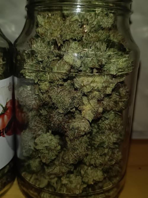 COCO ETHOS. Week 15 - End Game TPL 65F