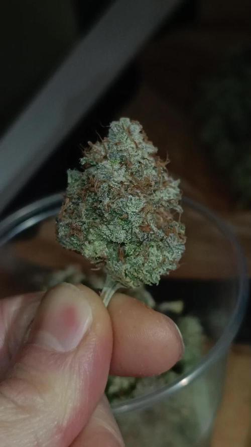 COCO ETHOS