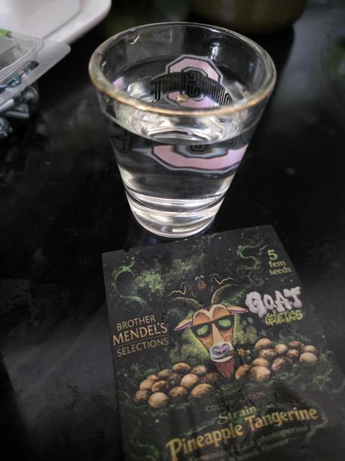 Octopot Hybrid Grow Systems . Week 0