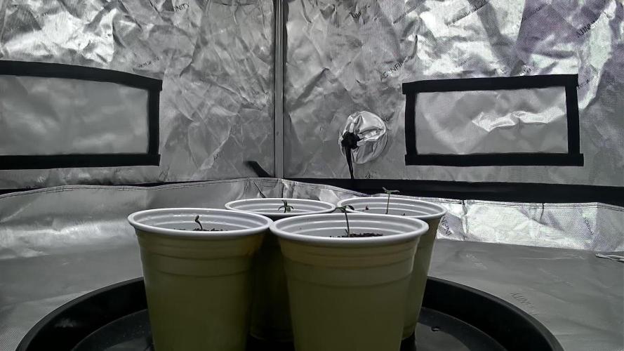 Nana Glue from Square One