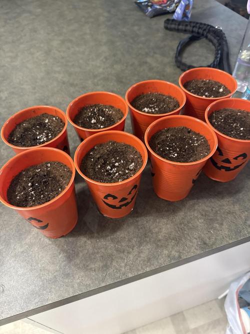 Brisker from Square One. Week 1