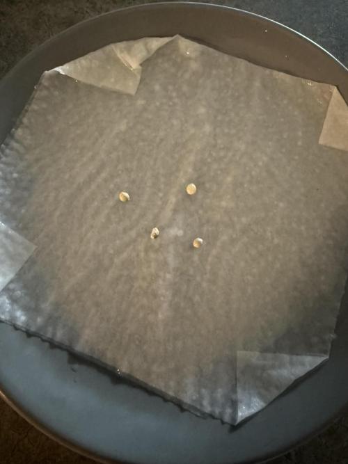 The miracle seed. Week 0