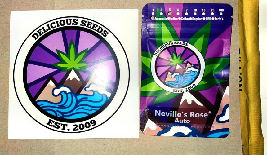Delicious Seeds 2026 Neville's Rose Auto. Week 0