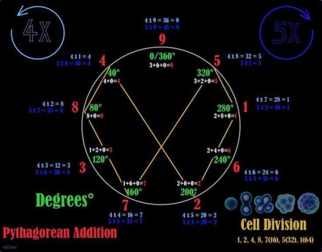 "Hydragyrum" C#13. Week 2