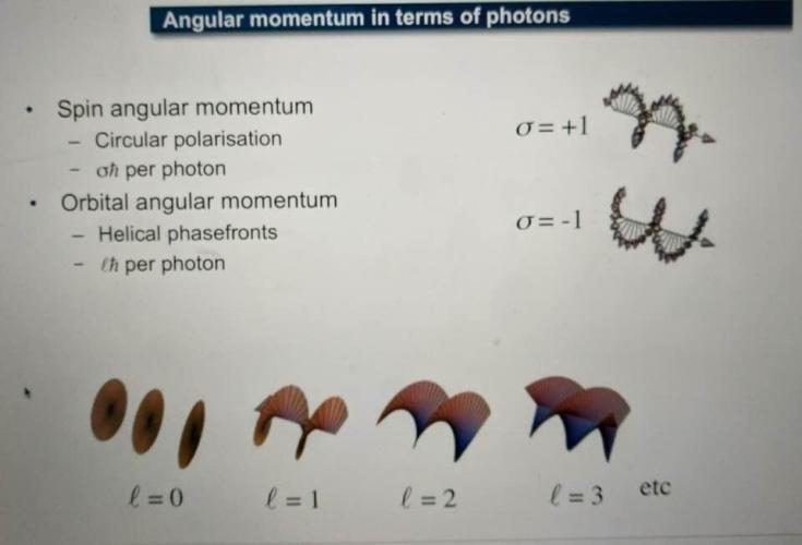 "Cauda Equina" C#13. Week 2