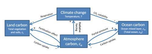 "Cauda Equina" C#13. Week 11