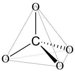 "Cauda Equina" C#13. Week 11