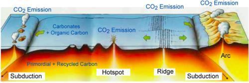 "Cauda Equina" C#13. Week 11
