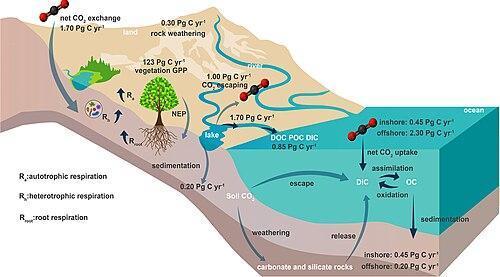 "Cauda Equina" C#13. Week 11