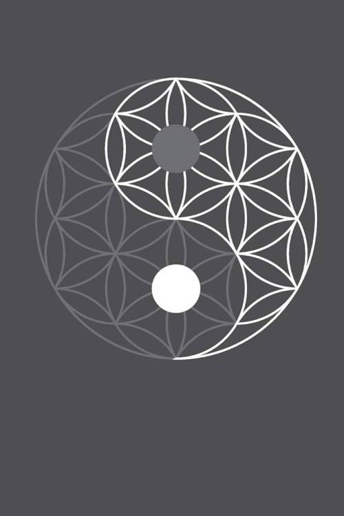 "Grape Guava" C#13. Week 2