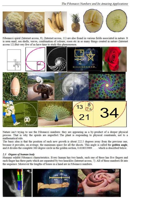 "Hydragyrum" C#13. Week 7