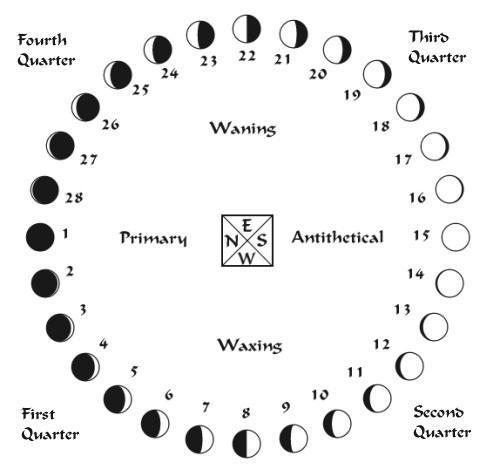 "Hydragyrum" C#13. Week 11 - 28x13=364+1