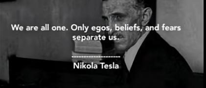 "1 Plant 4x4" C#13. Week 17