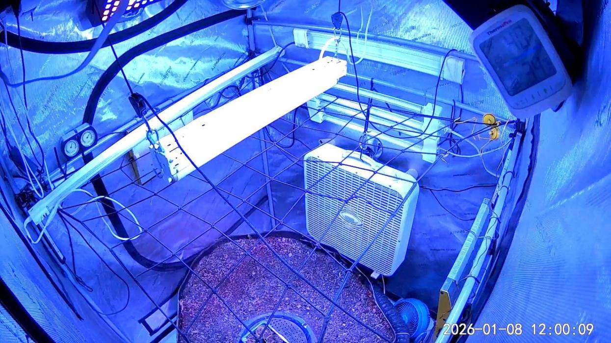 "1.618" CH#15. Week 0